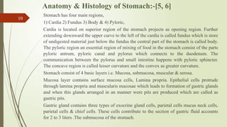 Anatomy & Histology of Stomach:-[5, 6]
Stomach has four main regions,
1) Cardia 2) Fundus 3) Body & 4) Pyloric,
Cardia is located on superior region of the stomach projects as opening region. Further
extending downward the upper curve to the left of the cardia is called fundus which is store
of undigested material just below the fundus the central part of the stomach is called body.
The pyloric region an essential region of mixing of food in the stomach consist of the parts
pyloric antrum, pyloric canal and pylorus which connects to the duodenum. The
communication between the pylorus and small intestine happens with pyloric sphincter.
The concave region is called lesser curvature and the convex as greater curvature.
Stomach consist of 4 basic layers i.e. Mucosa, submucosa, muscular & serosa.
Mucosa layer contains surface mucosa cells, Lamina propria. Epithelial cells protrude
through lamina propria and muscularis mucosae which leads to formation of gastric glands
and when this glands arranged in an manner were pits are produced which are called as
gastric pits.
Gastric gland contains three types of exocrine gland cells, parietal cells mucus neck cells,
parietal cells & chief cells. These cells contribute to the section of gastric fluid accounts
for 2 to 3 liters .The submucosa of the stomach.
10
 