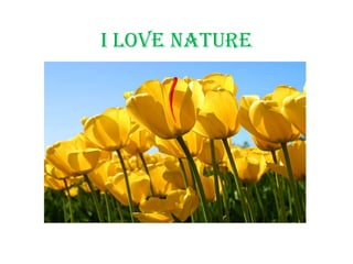 I Love Nature
 