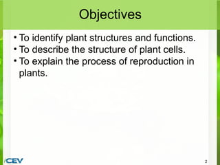 PowerPoint-AnatomyofPlantsDownloadableVersion.pptx