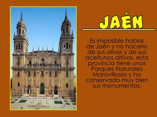 JaénEs imposible hablar de Jaén y no hacerlo de sus olivos y de sus aceitunos altivos, esta provincia tiene unos Parques Naturales Maravillosos y ha conservado muy bien sus monumentos.