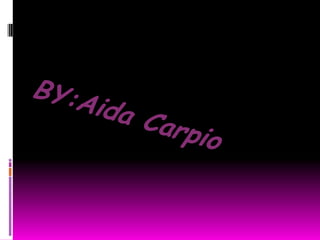 BY:AidaCarpio