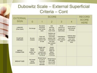 Power point -_assessment_of_the_neonate (1) | PPTX