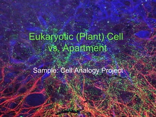 Eukaryotic (Plant) Cell  vs. Apartment Sample: Cell Analogy Project 