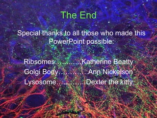 The End Special thanks to all those who made this PowerPoint possible: Ribsomes……..….Katherine Beatty Golgi Body………….Ann Nickelson Lysosome………….Dexter the kitty 