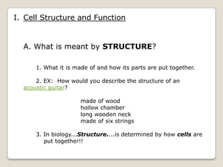 I. Cell Structure and Function


  A. What is meant by STRUCTURE?

      1. What it is made of and how its parts are put together.

      2. EX: How would you describe the structure of an
  acoustic guitar?

                      made of wood
                      hollow chamber
                      long wooden neck
                      made of six strings

      3. In biology...Structure....is determined by how cells are
         put together!!
 