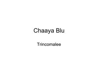 Chaaya Blu Trincomalee 