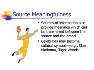 Source Meaningfulness Sources of information also provide meanings which can be transferred between the source and the brand Celebrities may become cultural symbols—e.g., Cher, Madonna, Tiger Woods. 