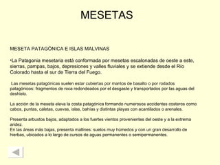 MESETAS MESETA PATAGÓNICA E ISLAS MALVINAS La Patagonia mesetaria está conformada por mesetas escalonadas de oeste a este, sierras, pampas, bajos, depresiones y valles fluviales y se extiende desde el Río Colorado hasta el sur de Tierra del Fuego. Las mesetas patagónicas suelen estar cubiertas por mantos de basalto o por rodados patagónicos: fragmentos de roca redondeados por el desgaste y transportados por las aguas del deshielo.  La acción de la meseta eleva la costa patagónica formando numerosos accidentes costeros como cabos, puntas, caletas, cuevas, islas, bahías y distintas playas con acantilados o arenales.  Presenta arbustos bajos, adaptados a los fuertes vientos provenientes del oeste y a la extrema aridez.  En las áreas más bajas, presenta mallines: suelos muy húmedos y con un gran desarrollo de hierbas, ubicados a lo largo de cursos de aguas permanentes o semipermanentes. 