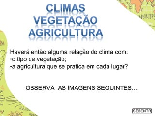 Haverá então alguma relação do clima com:
-o tipo de vegetação;
-a agricultura que se pratica em cada lugar?
OBSERVA AS IMAGENS SEGUINTES…
 