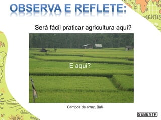 Será fácil praticar agricultura aqui?
Campos de arroz, Bali
E aqui?
 