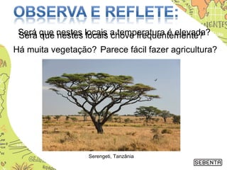 Será que nestes locais chove frequentemente?
Há muita vegetação? Parece fácil fazer agricultura?
Serengeti, Tanzânia
Será que nestes locais a temperatura é elevada?
 
