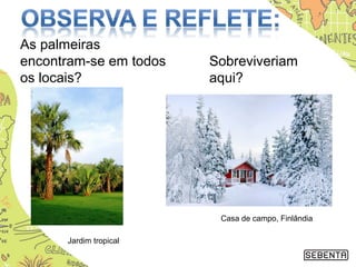 Sobreviveriam
aqui?
As palmeiras
encontram-se em todos
os locais?
Casa de campo, Finlândia
Jardim tropical
 