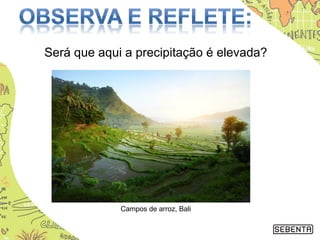 Será que aqui a precipitação é elevada?
Campos de arroz, Bali
 