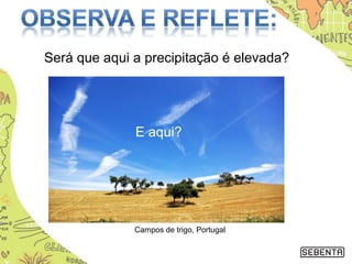 Será que aqui a precipitação é elevada?
E aqui?
Campos de trigo, Portugal
 