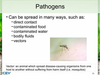 PowerPoint-CommonDiseasesParasitesofWildlifeDownloadableVersion.pptx