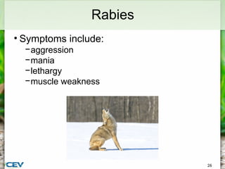 PowerPoint-CommonDiseasesParasitesofWildlifeDownloadableVersion.pptx