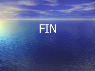 FIN 