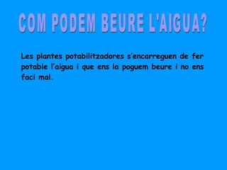COM PODEM BEURE L'AIGUA? Les plantes potabilitzadores s’encarreguen de fer potable l’aigua i que ens la poguem beure i no ens faci mal. 