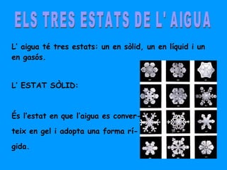 ELS TRES ESTATS DE L' AIGUA L’ aigua té tres estats: un en sòlid, un en líquid i un en gasós. L’ ESTAT SÒLID: És l’estat en que l’aigua es conver- teix en gel i adopta una forma rí- gida. 