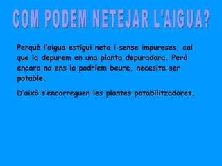 COM PODEM NETEJAR L'AIGUA? Perquè l’aigua estigui neta i sense impureses, cal que la depurem en una planta depuradora. Però encara no ens la podríem beure, necesita ser potable.  D’això s’encarreguen les plantes potabilitzadores. 