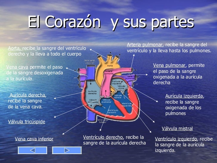 Al ataque de la estudiante 5