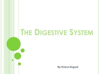 The Digestive System By KriznaNuguid 