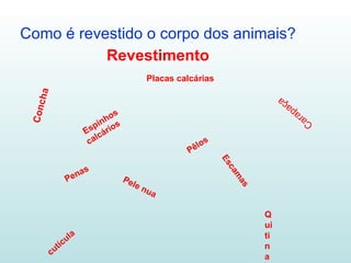 Como é revestido o corpo dos animais? Revestimento Placas calcárias Espinhos calcários Pêlos Penas Escamas Pele nua Quitina cutícula Carapaça Concha 