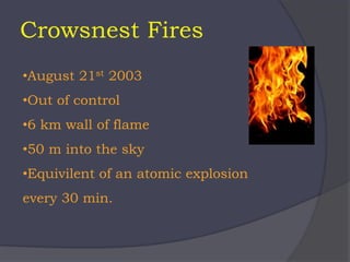 Crowsnest Fires
•August 21st 2003
•Out of control
•6 km wall of flame
•50 m into the sky
•Equivilent of an atomic explosion
every 30 min.
 