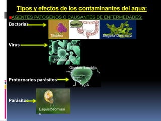 Power point.EDI contaminacíon del agua. | PPTX