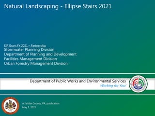 A Fairfax County, VA, publication
Department of Public Works and Environmental Services
Working for You!
EIP Grant FY 2021 – Partnership
Stormwater Planning Division
Department of Planning and Development
Facilities Management Division
Urban Forestry Management Division
May 7, 2021
Natural Landscaping - Ellipse Stairs 2021
 