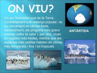 ON VIU? Viu en l’hemisferi sud de la Terra. Contràriament a la creença popular, no viu únicament en climes freds. Generalment, els pingüins més grans retenen millor la calor i, per tant, viuen en regions més fredes, mentre que les espècies més petites habiten en climes més temperats i fins i tot tropicals. ANTÀRTIDA 