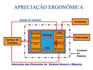 APRECIAÇÃO ERGONÔMICA
Interações dos Elementos do Sistema Homem x Máquina
Ambiente
Campo de
Trabalho
Instruções
Estado de Trabalho
Fronteira
do
Sistema
 