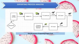 Group 4 11
EXPORTING PROCESS ANALYSIS
Overall process of exporting Dragon Fruit
 