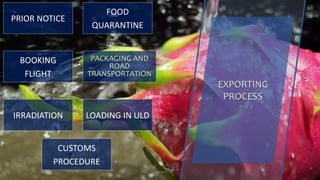Group 4 12
EXPORTING
PROCESS
PRIOR NOTICE
FOOD
QUARANTINE
PACKAGING AND
ROAD
TRANSPORTATION
BOOKING
FLIGHT
IRRADIATION LOADING IN ULD
CUSTOMS
PROCEDURE
 