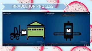 Group 4 26
IRRADIATION PROCESS
 