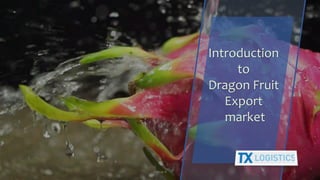 Introduction
to
Dragon Fruit
Export
market
3Group 4
 