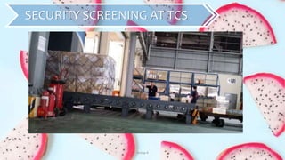 Group 4 31
SECURITY SCREENING AT TCS
 