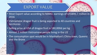 6Group 4
EXPORT VALUE
• Most Export value according to MARD, earnings of US$895.7 million in
2016
• Vietnamese dragon fruit is being exported to 40 countries and
territories
• Selling price at USA of dragon fruit is 180,000d per kg
• Almost 2 million Vietnamese people living in the US
• The consumption spot would be in Manhattan’s China town, Queens
and the Bronx
 