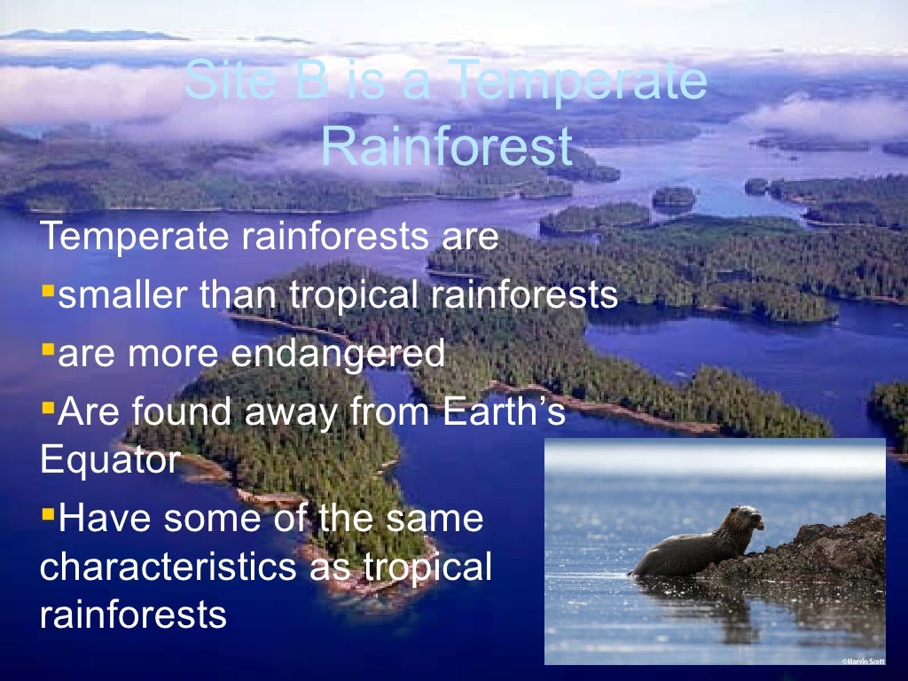 Powerpoint For 3rd Grade