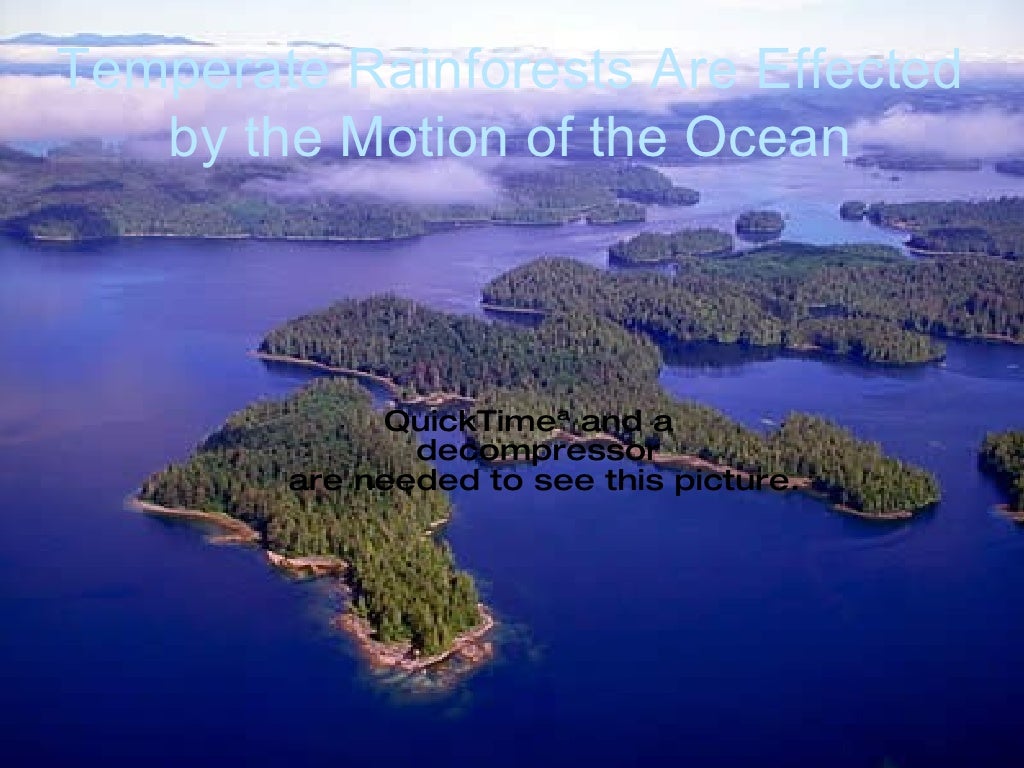 Powerpoint For 3rd Grade