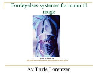 Fordøyelses systemet fra munn til mage Av Trude Lorentzen  Bildet er hentet fra:  http://office.microsoft.com/nb-no/clipart/results.aspx?qu=mage&sc=20 