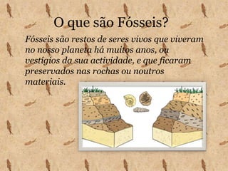 Os cientistas que fazem o papel de “detectives de fósseis “ são chamados de PALEONTÓLOGOS.