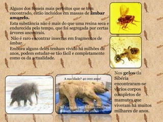 Mas o trabalho destes cientistas não é nada fácil!O que são Fósseis?Fósseis são restos de seres vivos que viveram no nosso planeta há muitos anos, ou vestígios da sua actividade, e que ficaram preservados nas rochas ou noutros materiais.