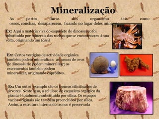 Que Informações nos dão…… as pegadas?… os coprólitos?… os ovos?Dinossauro herbívoro …que tipo de alimentação tinha o animal - Se era herbívoro ou carnívoro.… Se era um animal que punha poucos ovos ou muitos;… em que tipo de local gostava de fazer os ninhos.… Se era um animal bípede ou quadrúpede;… se era solitário ou andava em manadas;… qual o seu peso, altura e tamanho aproximado.