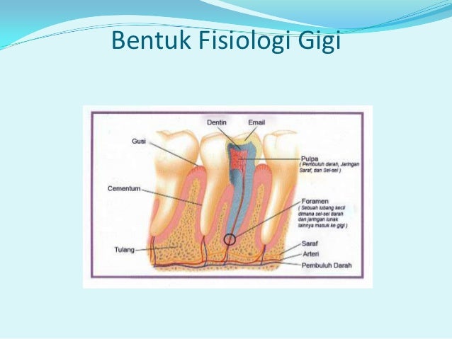 Power point -gigi[1]