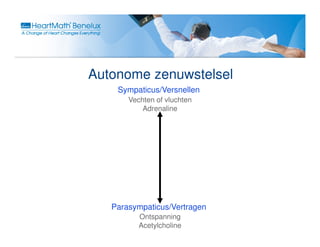 Autonome zenuwstelsel
    Sympaticus/Versnellen
       Vechten of vluchten
           Adrenaline




   Parasympaticus/Vertragen
          Ontspanning
          Acetylcholine
 