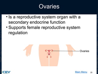 20
Ovaries
• Is a reproductive system organ with a
secondary endocrine function
• Supports female reproductive system
regulation
Main Menu
 