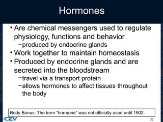 22
Hormones
• Are chemical messengers used to regulate
physiology, functions and behavior
−produced by endocrine glands
• Work together to maintain homeostasis
• Produced by endocrine glands and are
secreted into the bloodstream
−travel via a transport protein
−allows hormones to affect tissues throughout
the body
Body Bonus: The term “hormone” was not officially used until 1902.
 