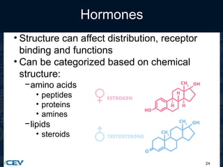 24
Hormones
• Structure can affect distribution, receptor
binding and functions
• Can be categorized based on chemical
structure:
−amino acids
• peptides
• proteins
• amines
−lipids
• steroids
 