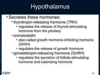 28
Hypothalamus
• Secretes these hormones:
−thyrotropin-releasing hormone (TRH)
• regulates the release of thyroid-stimulating
hormone from the pituitary
−somatostatin
• also called growth hormone-inhibiting hormone
(GHIH)
• regulates the release of growth hormone
−gonadotropin-releasing hormone (GnRH)
• regulates the secretion of follicle-stimulating
hormone and luteinizing hormone
 